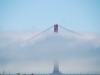 115-DSC_7987
