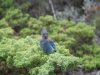 150-DSC_8211